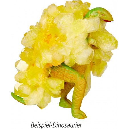 Kristallen kweken Dino-box