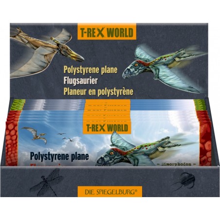 Zweefvliegtuigje T-Rex World