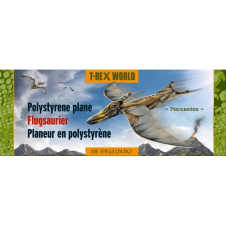Zweefvliegtuigje T-Rex World