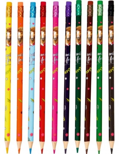 Uitgumbare kleurpotloden paard