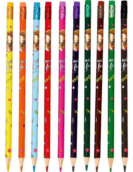 Uitgumbare kleurpotloden paard