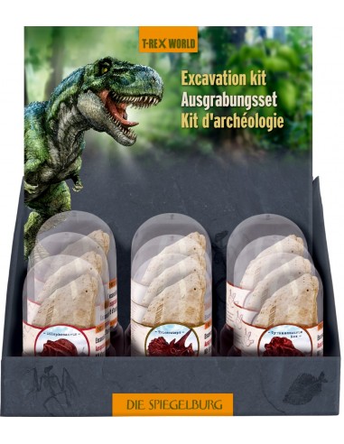 Uitgraafset Dinosaures schedel