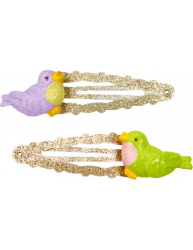 Haarclip vogels