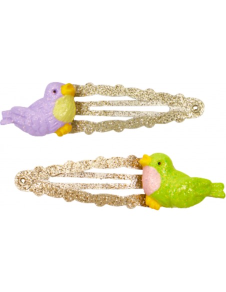 Haarclip vogels