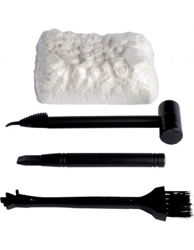 Dinosaurus creatief koffer