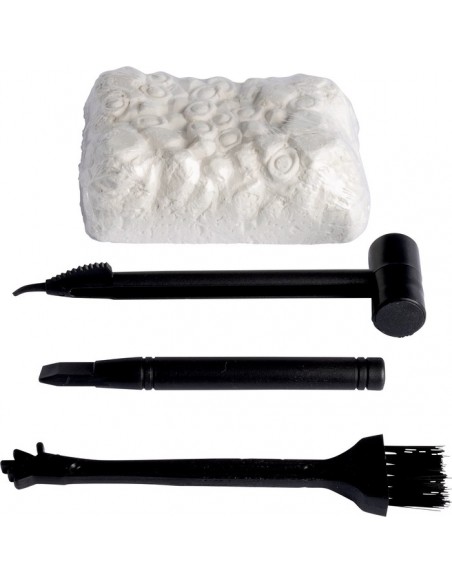 Dinosaurus creatief koffer