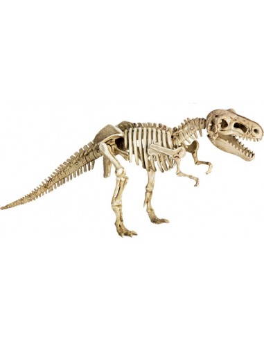 Uitgravings- en gips-Set T-Rex