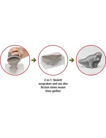 Uitgravings- en gips-Set T-Rex
