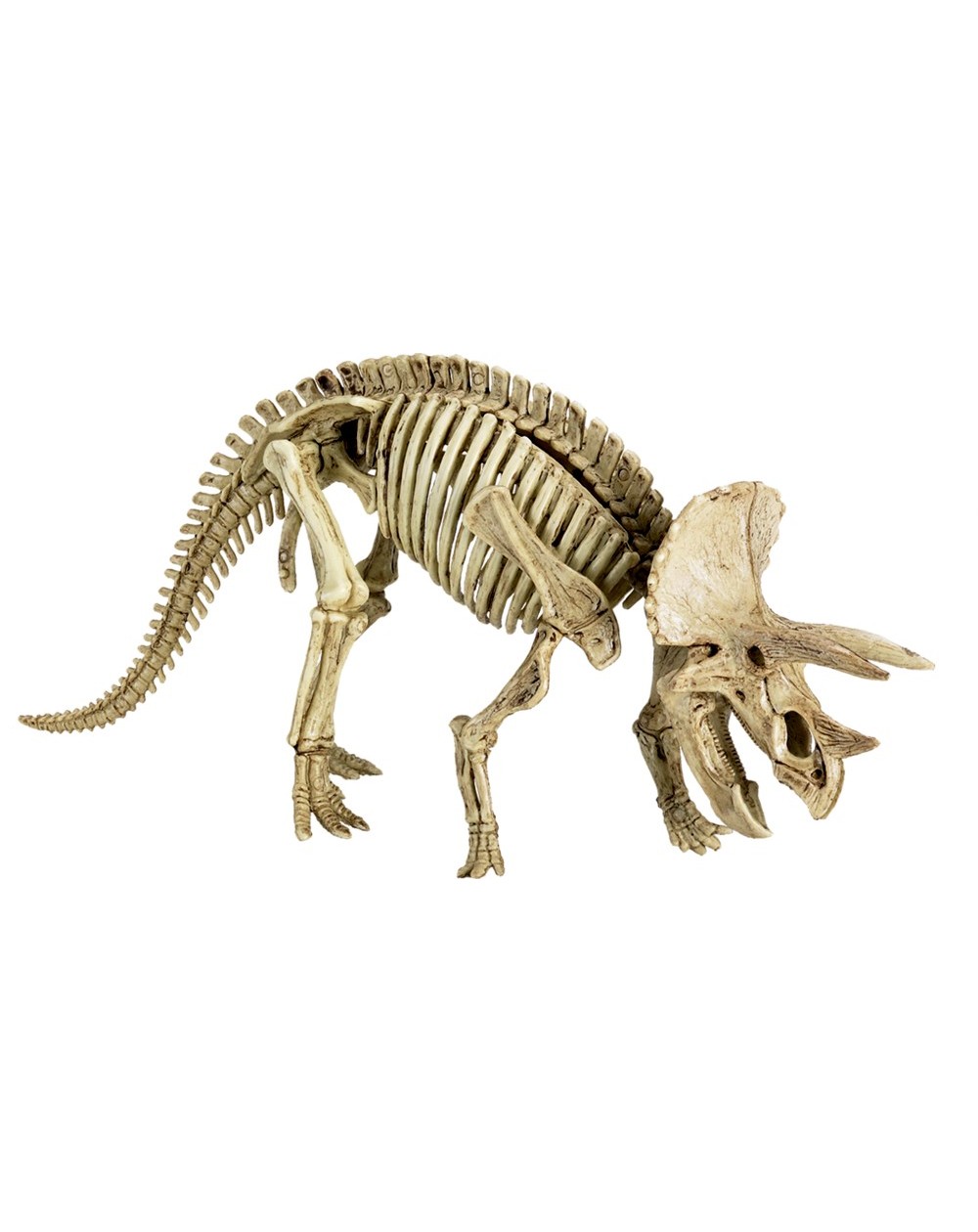 Uitgraafset Triceratops T-RexWorld