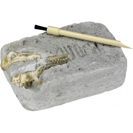 Uitgraafset Triceratops T-RexWorld