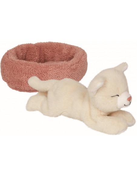 Slapende kat Penny in mandje