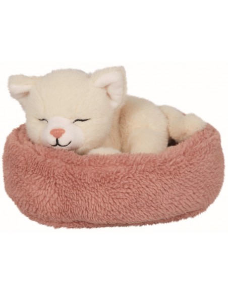 Slapende kat Penny in mandje