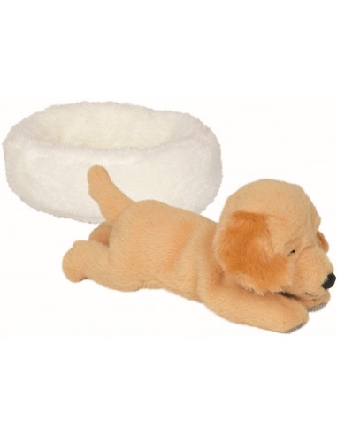 Slapende hond Isi in mandje