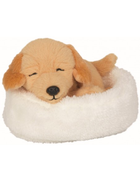 Slapende hond Isi in mandje