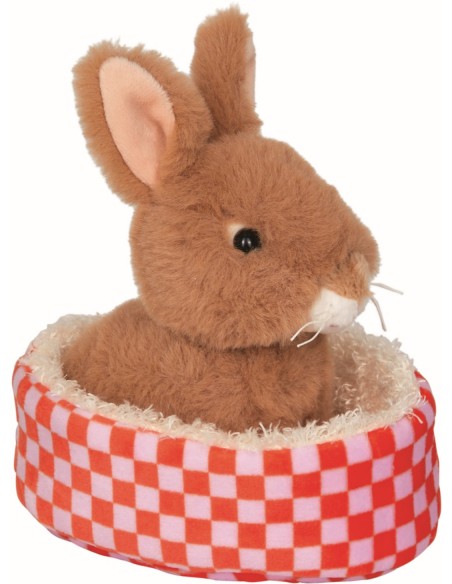 Konijn Rosi in mandje