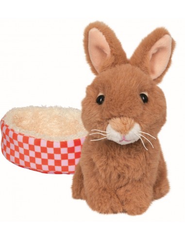 Konijn Rosi in mandje