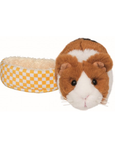 Cavia Lola in mandje