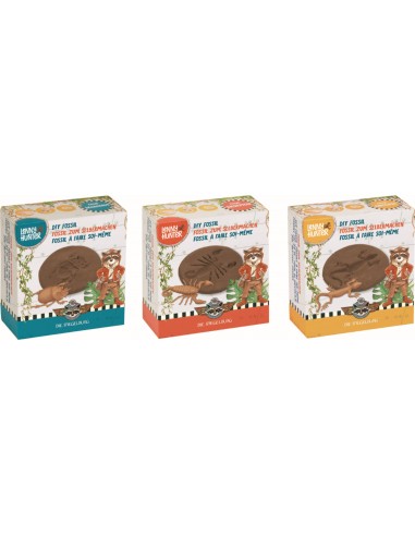 Doe-het-zelf fossiel