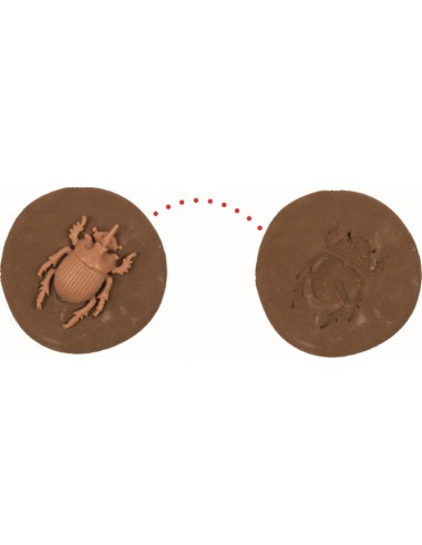 Doe-het-zelf fossiel