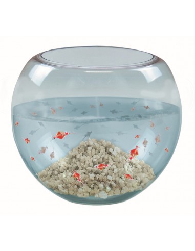 Prehistorische krabben