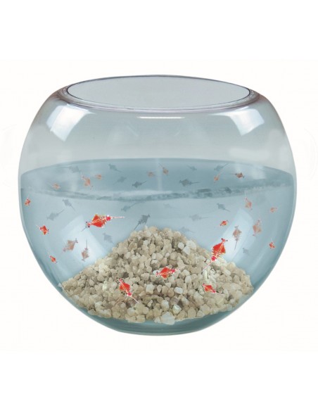 Prehistorische krabben