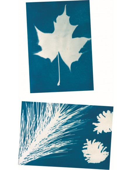 Zonneprintpapier solar fotopapier