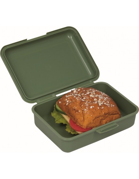 Lunchbox Dino