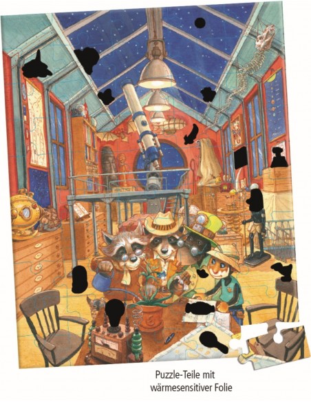 Memopuzzel met wrijfplaatjes (50 stukjes)