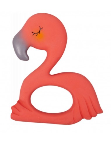 6 bijtringen in presentatiebox