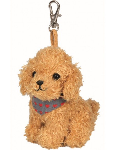 Tashanger schattige puppy