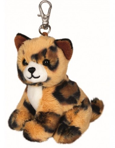 Tashanger snoezige poesjes