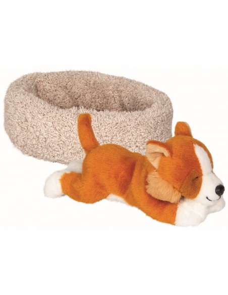 Slapende hond Liz in de mand