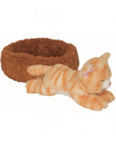 Slapende kat Chloe  in de mand