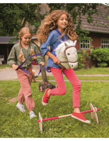 Houten hindernis paard