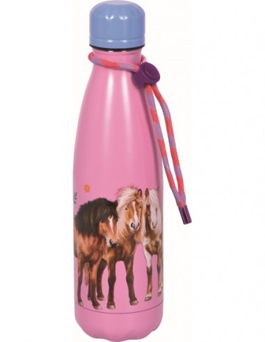Isoleerfles paard