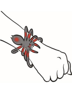 Buigende spin 16 cm 3 designs 2