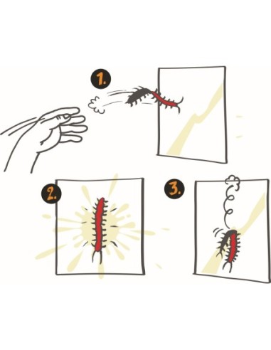 Kleverige duizendpoot