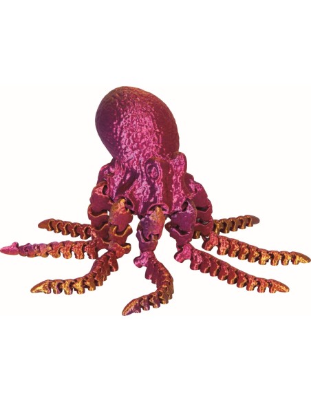 Octopus