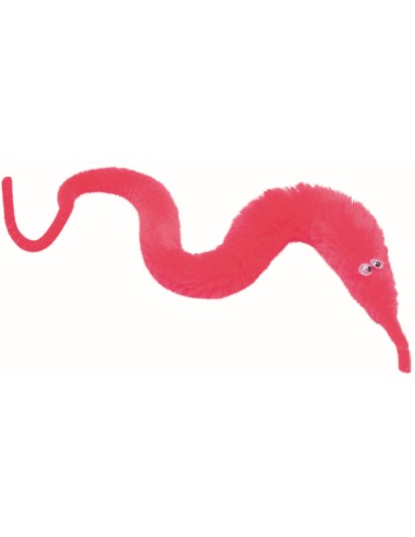 Magische worm