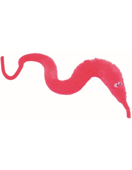Magische worm