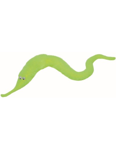 Magische worm