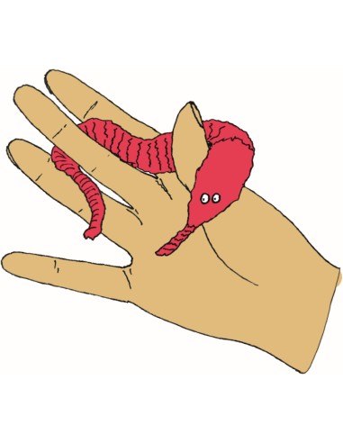 Magische worm