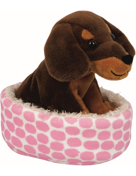 Knuffel hond tekkel in mand