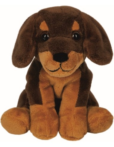 Knuffel hond tekkel in mand