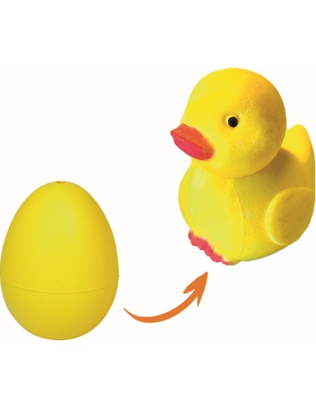 Magisch ei met kuiken