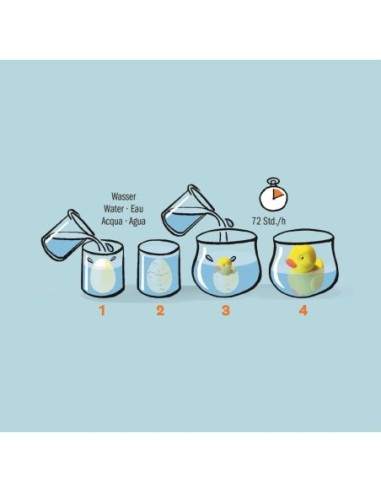 Magisch ei met kuiken