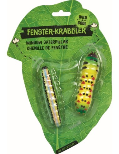 Window Crawler Rups - Wild + Cool