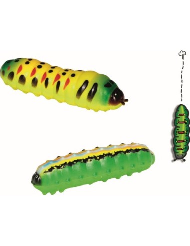 Window Crawler Rups - Wild + Cool