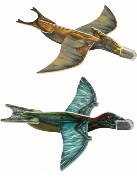 Zweefvliegtuigje dino 2 designs