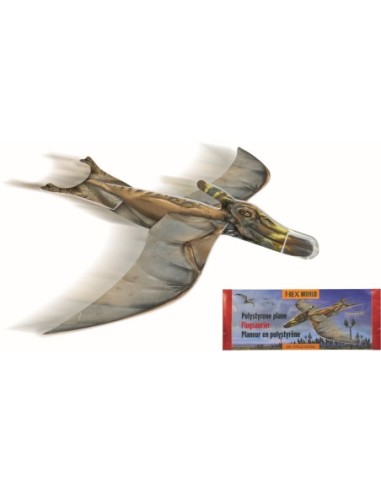 Zweefvliegtuigje dino 2 designs